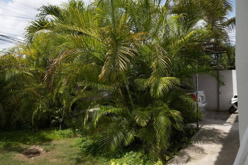 Villa Caribe Bayahibe Buitenkant foto